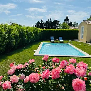 Un Coin Tropical En Provence ! Maison d'hôtes