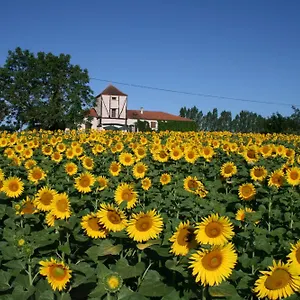 https://charme-et-douceur-de-rosies.midi-pyreneeshotels.com
